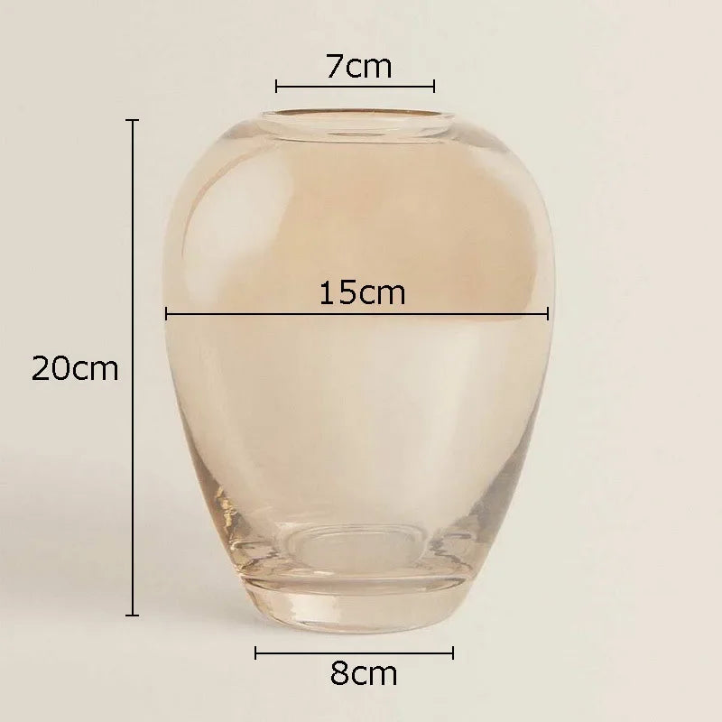 Decorbites™ Bernstein-Glasvase Transparente Hydroponik-Blumentopf Modernes Wohnaccessoire