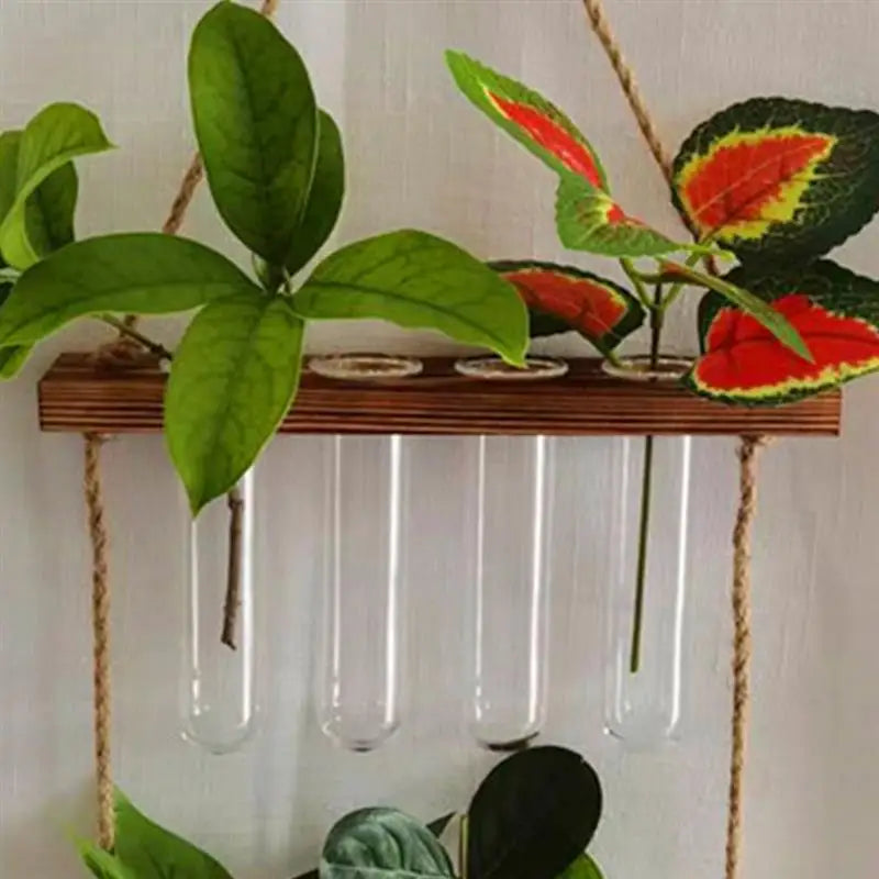 Reagenzglasvasen aus klarem Glas für Pflanzen
