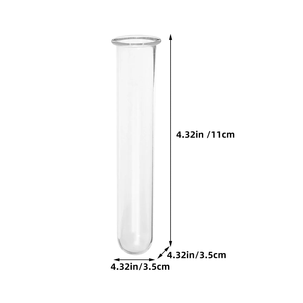 Reagenzglasvasen aus klarem Glas für Pflanzen