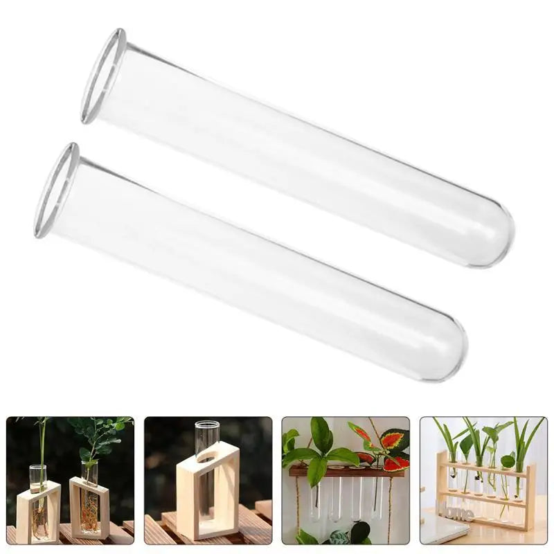Reagenzglasvasen aus klarem Glas für Pflanzen