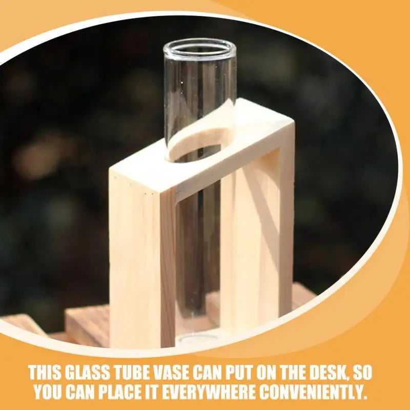 Reagenzglasvasen aus klarem Glas für Pflanzen
