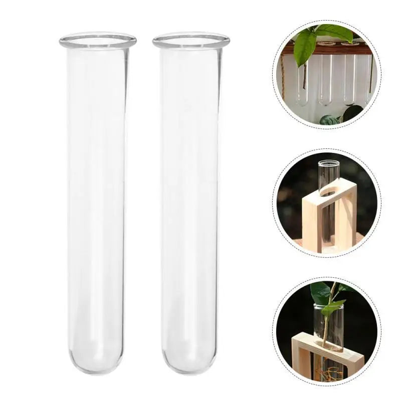 Reagenzglasvasen aus klarem Glas für Pflanzen