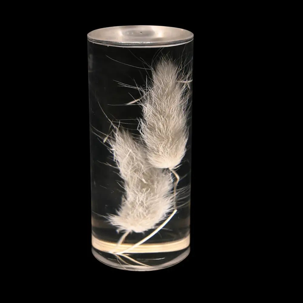 Elegant brass decorbites eternal flower desk lamp with clear glass container holding white rabbit’s foot grass eternal flower acrylic
