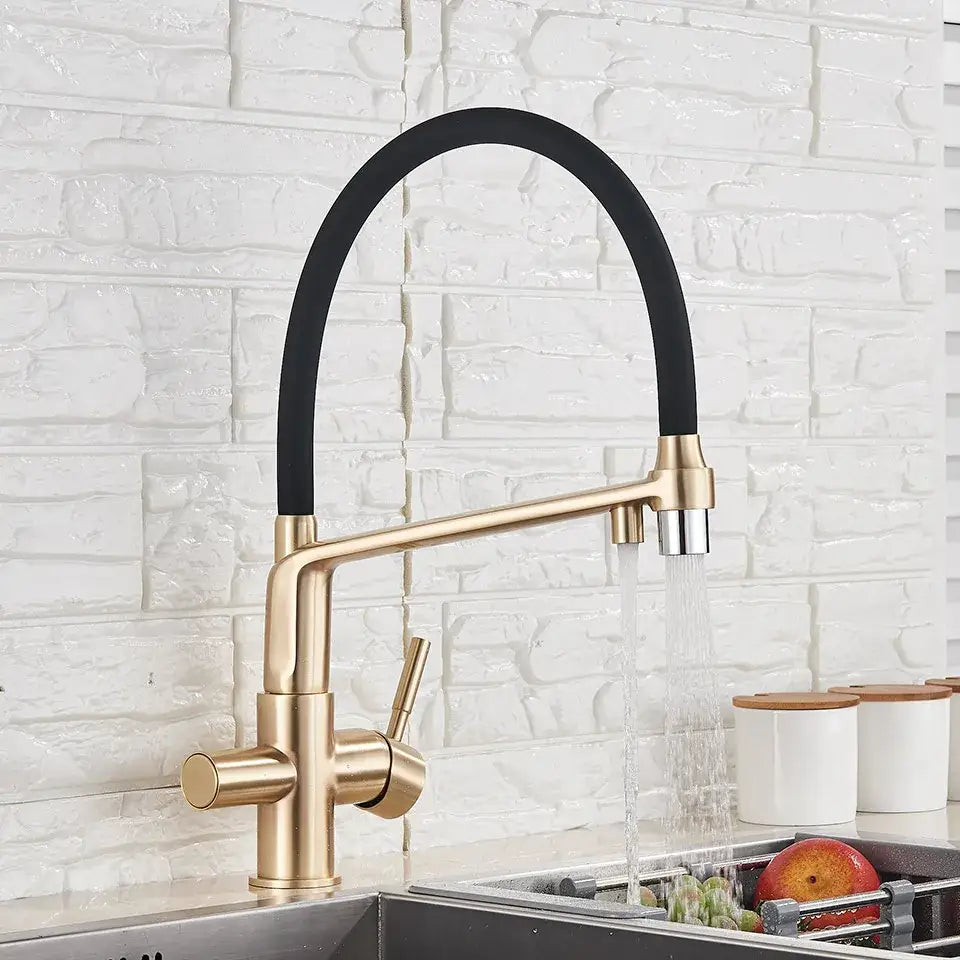 Matte black dual spout water filter faucet kitchen mixer tap with modern gold-toned flexible rubber hose design