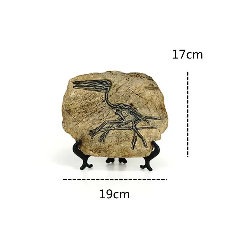 Beige fossil figurine with detailed black pterosaur imprint on black stand for retro gray and brown dinosaur fossil decor