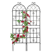 Metal Trellis 2-Pack Set
