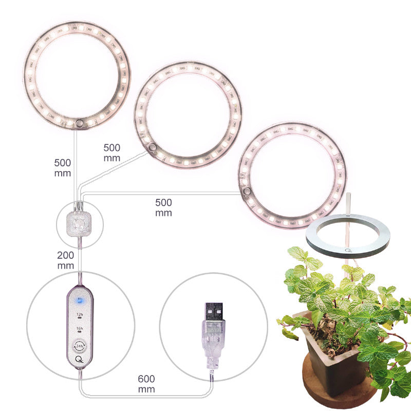 LED-Wachstumslampe Vollspektrum Engelring Phyto-Wachstumslampe USB-Phytolampe für Pflanzen 5V Lampe Innen Blumenglas Haus Pflanzen Sämlinge