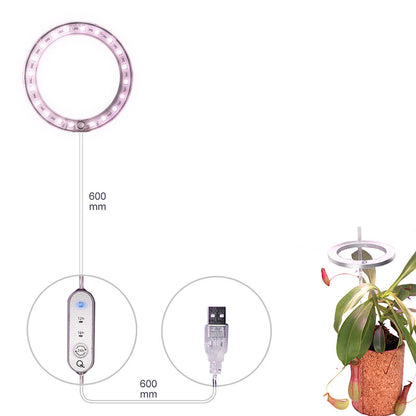 LED-Wachstumslampe Vollspektrum Engelring Phyto-Wachstumslampe USB-Phytolampe für Pflanzen 5V Lampe Innen Blumenglas Haus Pflanzen Sämlinge