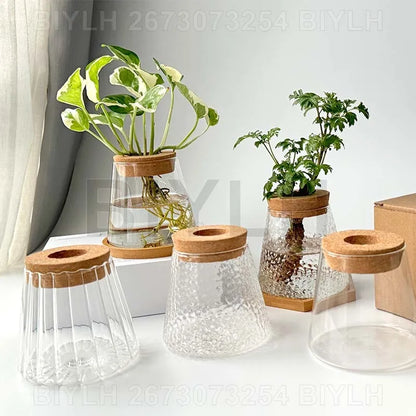 Clear glass hydroponic plant pots with textured surfaces and cork lids for home decoration with base tray