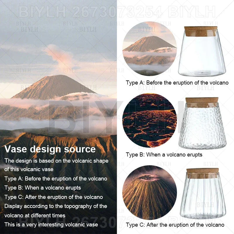Clear glass hydroponic vase with wooden lid and volcanic eruption textures for home decoration and plant display