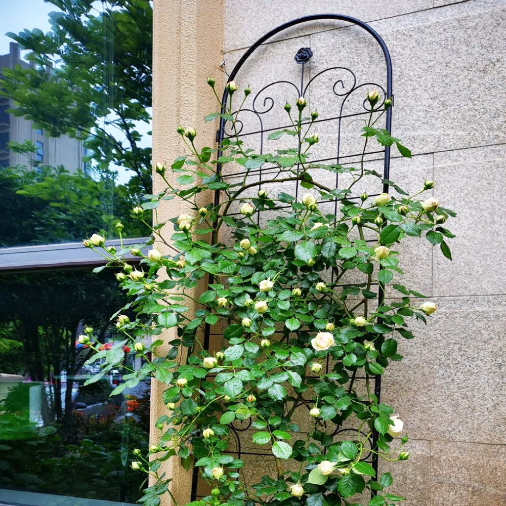 4er-Set Metall-Gartenspaliere für Kletterpflanzen im Freien 220 cm x 50 cm Rostfreie Pflanzenstütze Rosen-Spaliere Netz Spalier Schwarz
