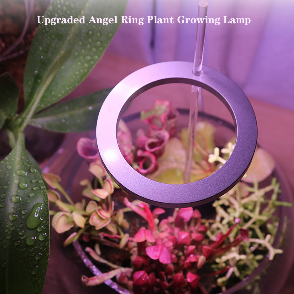 LED-Wachstumslampe Vollspektrum Engelring Phyto-Wachstumslampe USB-Phytolampe für Pflanzen 5V Lampe Innen Blumenglas Haus Pflanzen Sämlinge