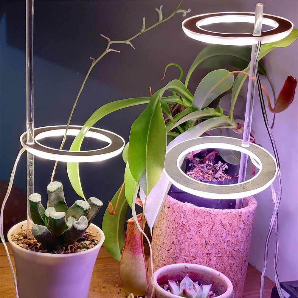 LED-Wachstumslampe Vollspektrum Engelring Phyto-Wachstumslampe USB-Phytolampe für Pflanzen 5V Lampe Innen Blumenglas Haus Pflanzen Sämlinge