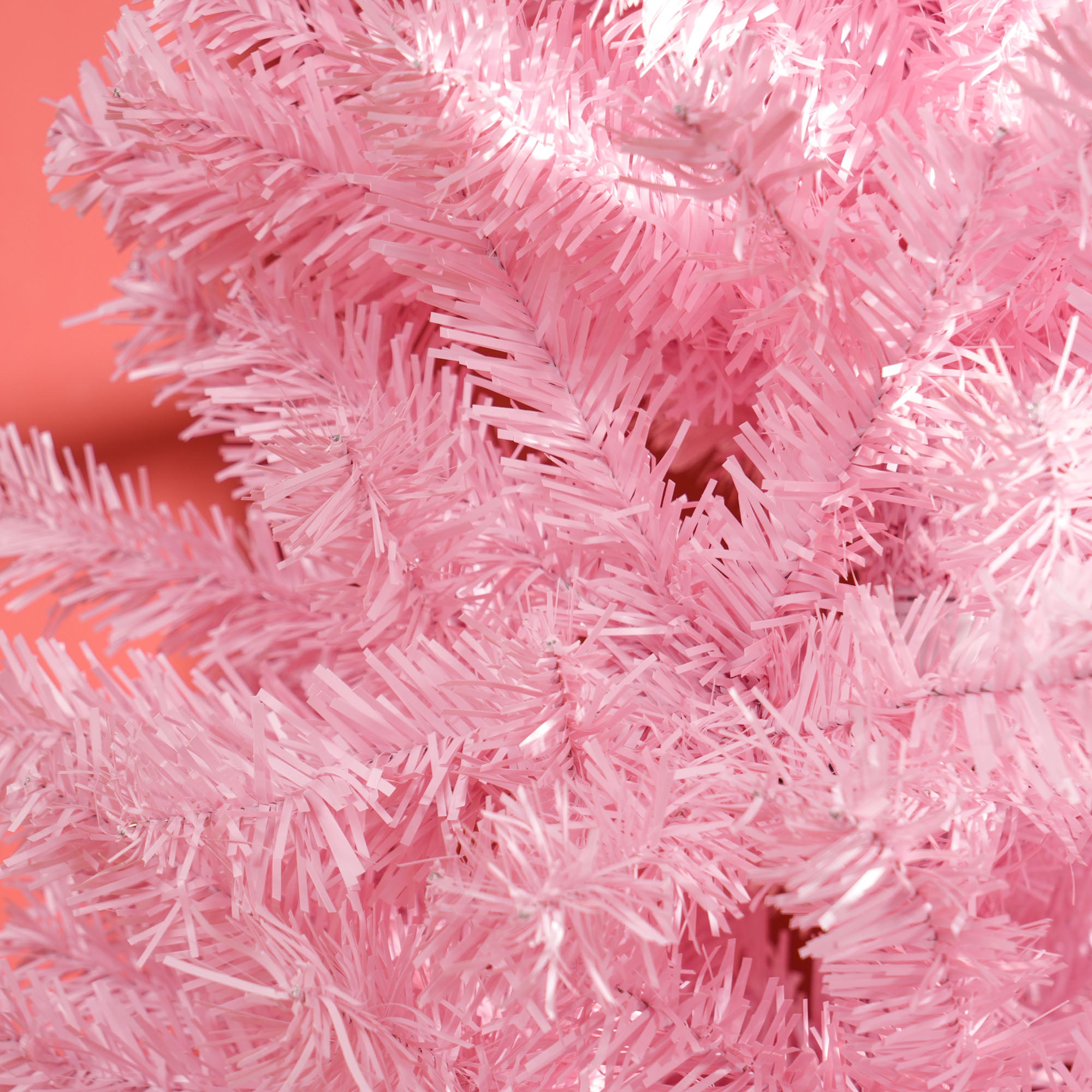 Pink Slim Douglas Fir Tree
