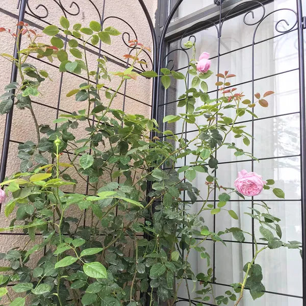4er-Set Metall-Gartenspaliere für Kletterpflanzen im Freien 220 cm x 50 cm Rostfreie Pflanzenstütze Rosen-Spaliere Netz Spalier Schwarz