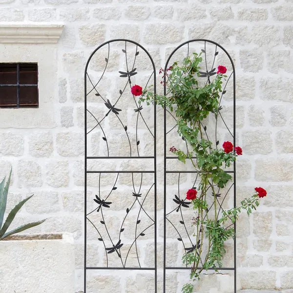 Black Metal Plant Trellis