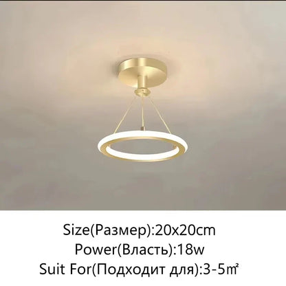Nordic Minimalist Metal Pendant Light Chandelier