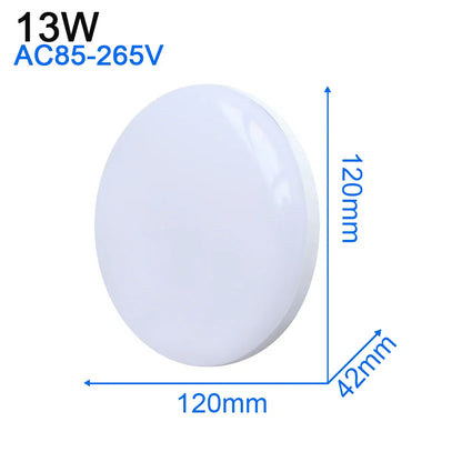 DecorBites™ LED Ceiling Light: Modern Ultra-thin Panel, 6-48W, Surface Mounted for Living Room