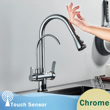 Decorbites™ Schwarzer Küchenarmatur mit Dual-Modus 2 in 1 Reiner-Wasser-Mischbatterie