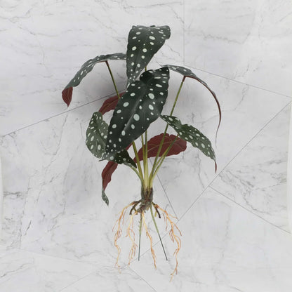 DecorBites™ Green Plant Wall Set for Indoor Decoration
