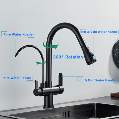 Decorbites™ Schwarzer Küchenarmatur mit Dual-Modus 2 in 1 Reiner-Wasser-Mischbatterie