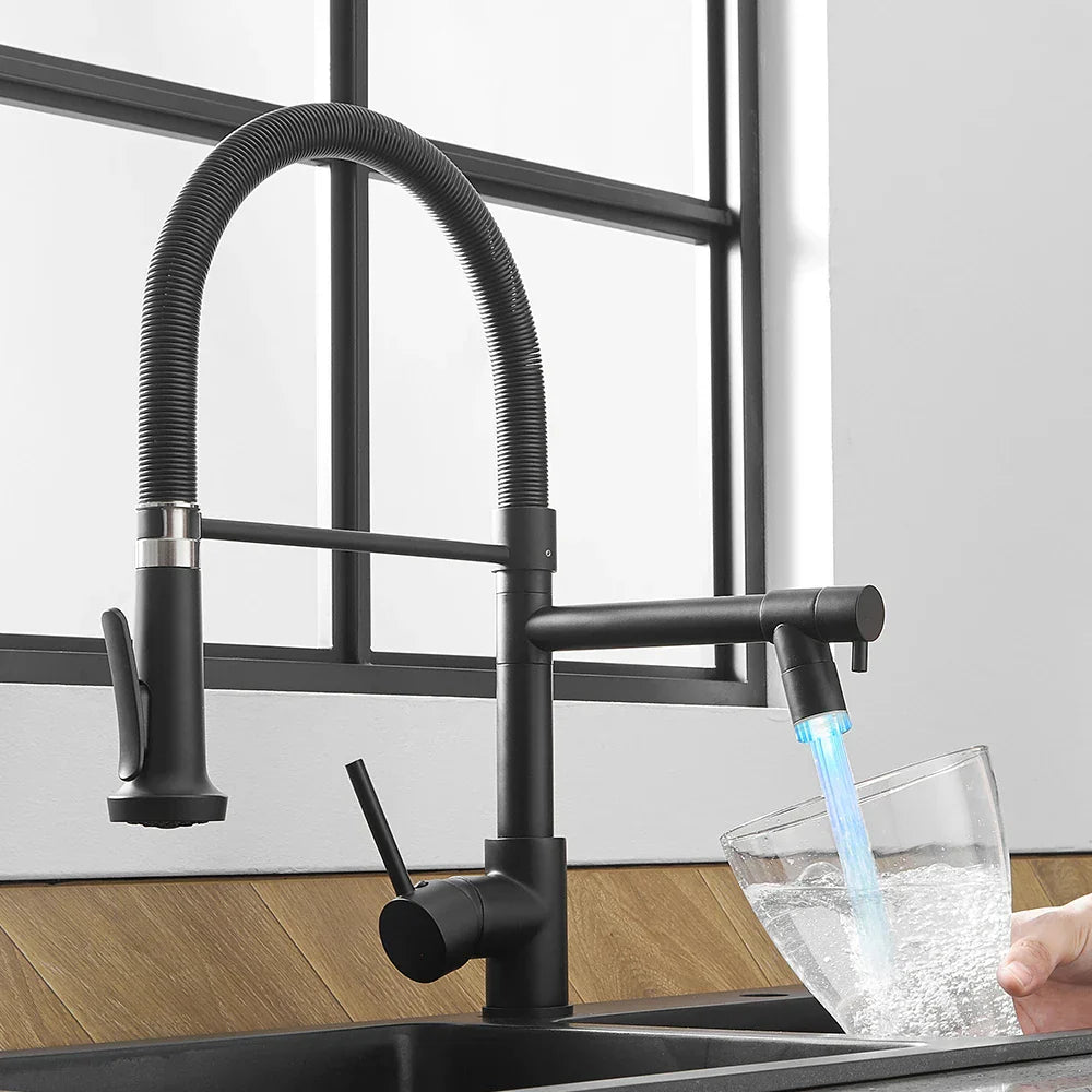 DecorBites™ LED Kitchen Faucet with Dual Spouts and Single Handle