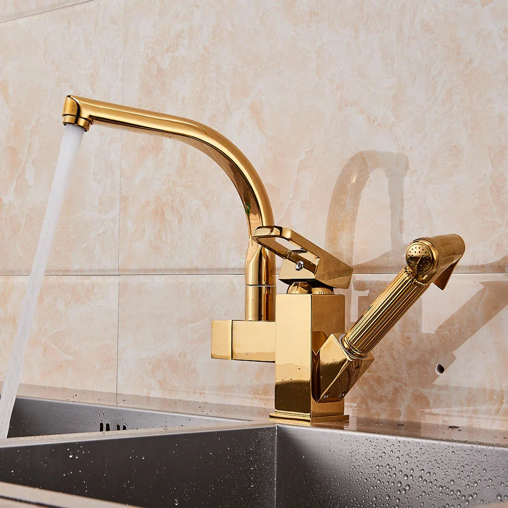 DecorBites™ Dual Spout Black Kitchen Faucet with Pull Out Spray Mixer