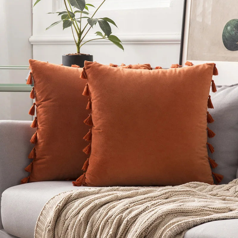 DecorBites™ Fringed Tassel Velvet Pillowcase 50x50cm/30x50cm in Popular Light Colors