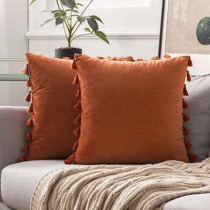DecorBites™ Fringed Tassel Velvet Pillowcase 50x50cm/30x50cm in Popular Light Colors