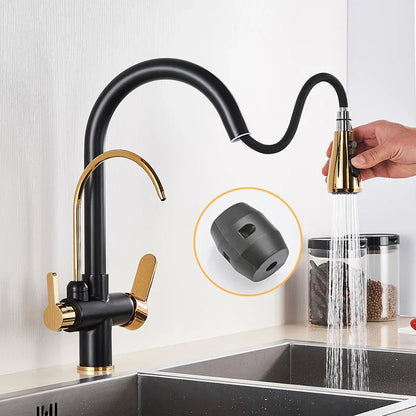 Decorbites™ 3-Wege-Wasserfilter-Küchenarmatur: Schwarzer & Goldener Kranich-Ausziehsprühkopf