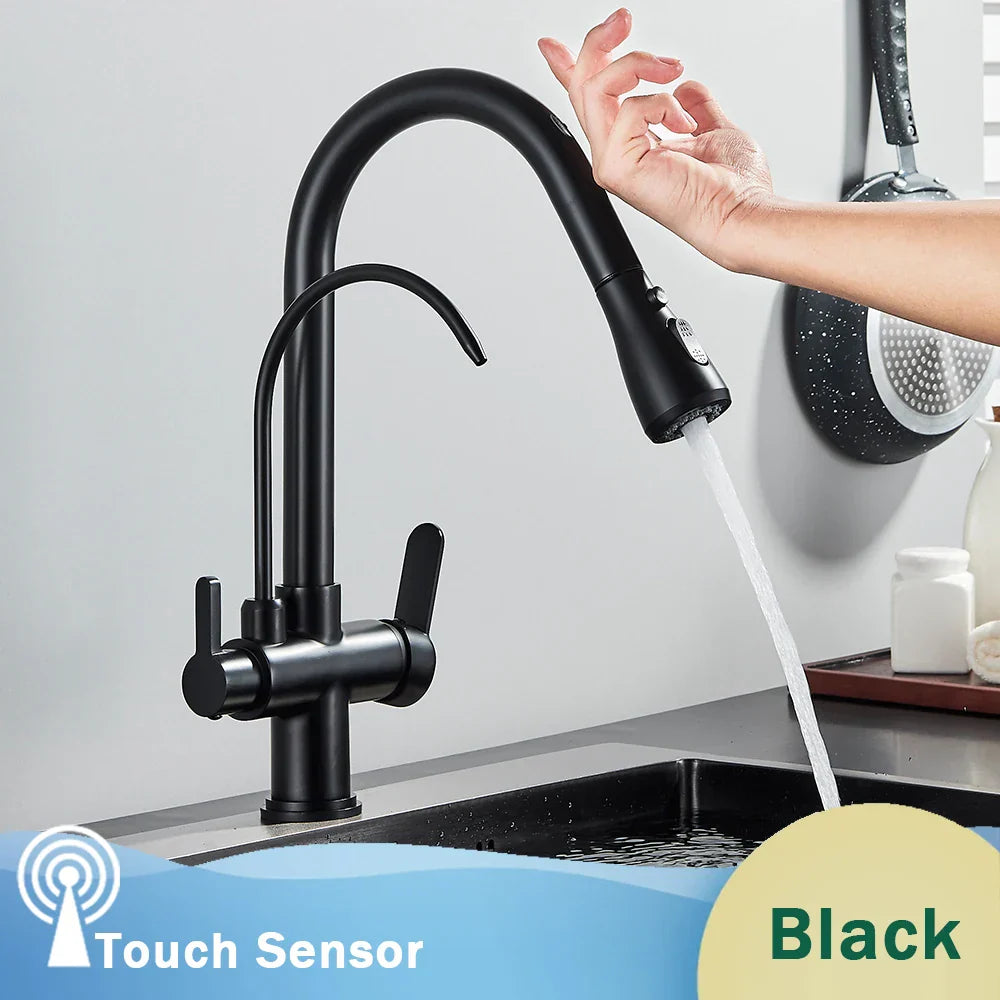 Decorbites™ Schwarzer Küchenarmatur mit Dual-Modus 2 in 1 Reiner-Wasser-Mischbatterie