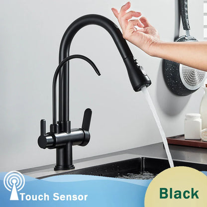 Decorbites™ Schwarzer Küchenarmatur mit Dual-Modus 2 in 1 Reiner-Wasser-Mischbatterie