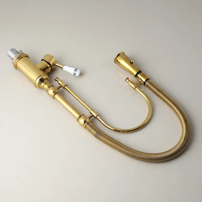 DecorBites™ Golden Kitchen Faucet Vessel Sink Swivel Mixer Tap with Pull Down Spring