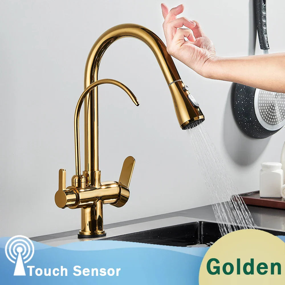 Decorbites™ Schwarzer Küchenarmatur mit Dual-Modus 2 in 1 Reiner-Wasser-Mischbatterie