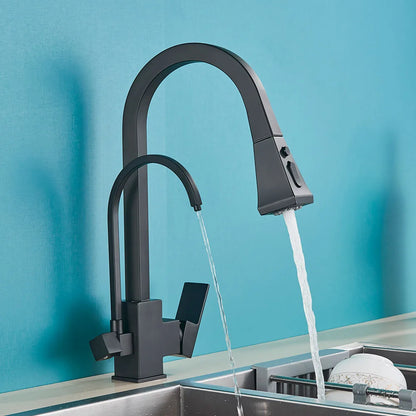 Decorbites™ Zweihand-Wasserfilter-Küchenarmatur Deckenmontiert 360° Drehbarer Mischbatterie