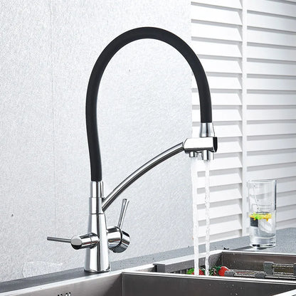 DecorBites™ Dual Spout Kitchen Faucet with Water Purification and Flexible Rotation