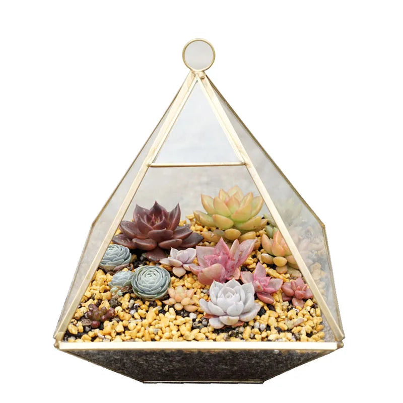 Decorbites™ Geometrische Glasvase für Sukkulenten und Blumen
