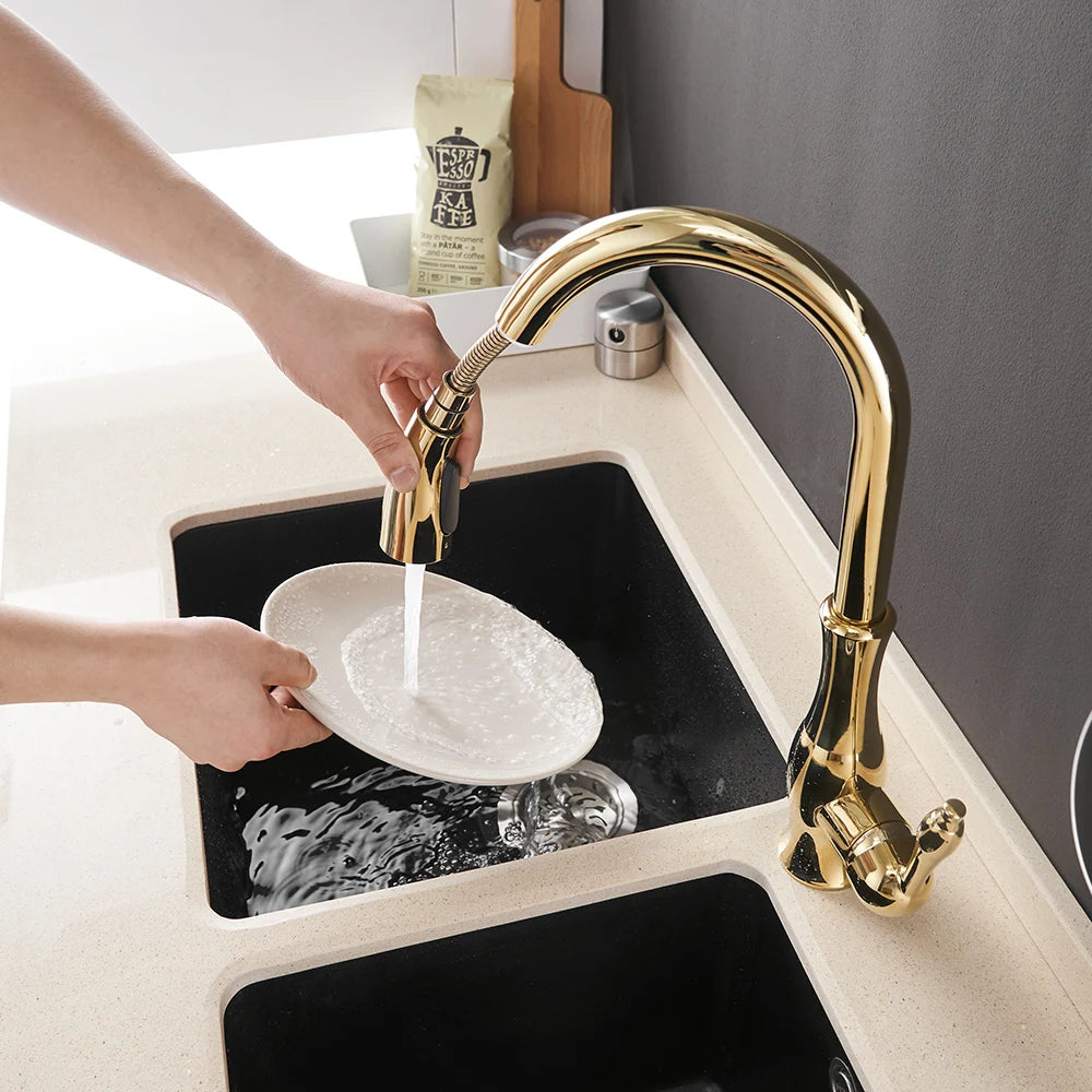 Black & Gold Pull Out Kitchen Faucet – Brass Kitchen Mixer Tap