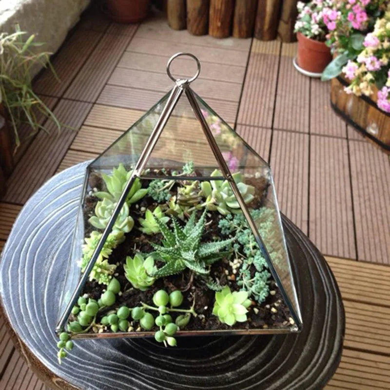 Decorbites™ Geometrische Glasvase für Sukkulenten und Blumen