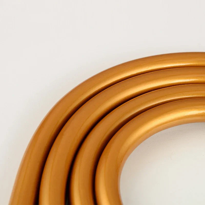 Silver Gold Shower Hose