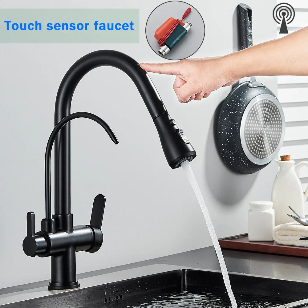 Decorbites™ Schwarzer Küchenarmatur mit Dual-Modus 2 in 1 Reiner-Wasser-Mischbatterie