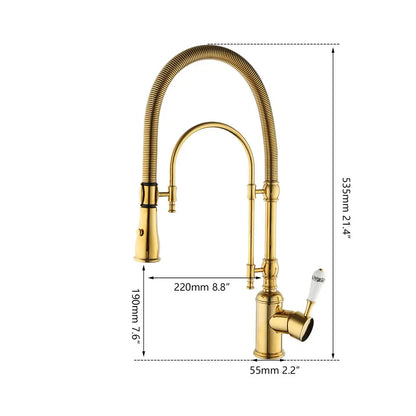 DecorBites™ Golden Kitchen Faucet Vessel Sink Swivel Mixer Tap with Pull Down Spring