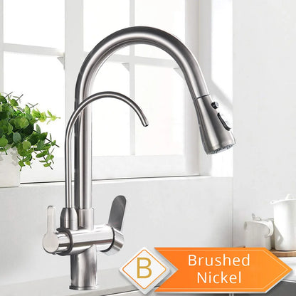 Decorbites™ 3-Wege-Wasserfilter-Küchenarmatur: Schwarzer & Goldener Kranich-Ausziehsprühkopf