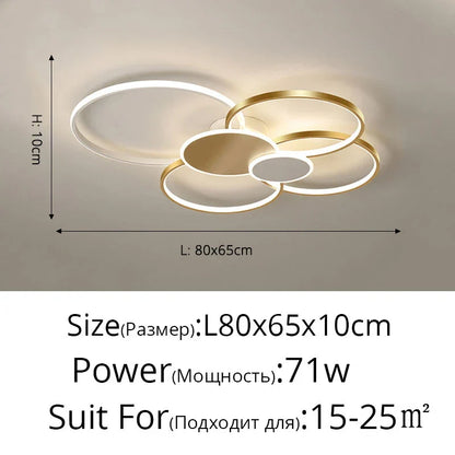 DecorBites™ LED Ceiling Chandelier Light for Living Room Bedroom Dining Hall Indoor Lighting Fixtures
