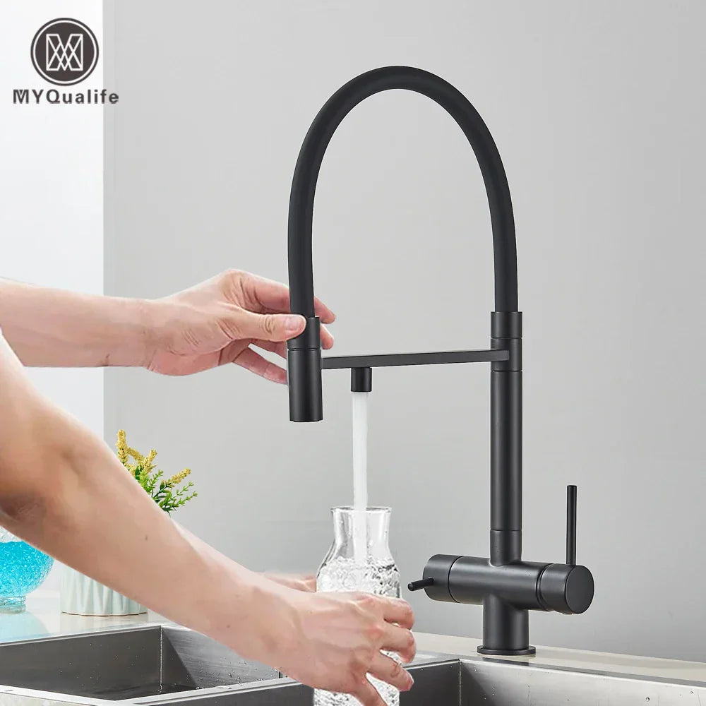 Decorbites™ Schwarz gefilterter Küchenarmatur Messing Doppelgriff Reines Wasser Mischbatterie