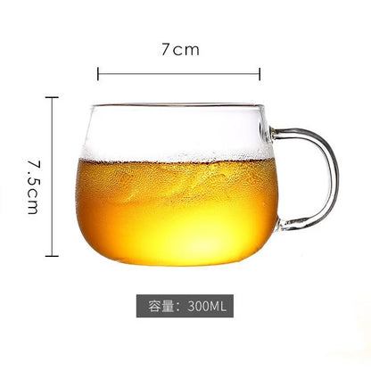 Decorbites™ Glas-Kanne mit Deckel, hitzebeständige Wasserkaraffe für heiße/kalte Getränke