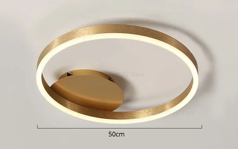 Decorbites™ Goldene LED-Deckenleuchte mit Acryl-Lampenschirm für kreative Wohnzimmerarmaturen