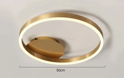 Decorbites™ Goldene LED-Deckenleuchte mit Acryl-Lampenschirm für kreative Wohnzimmerarmaturen