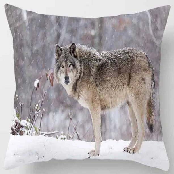 DecorBites™ Animals World Tiger Lion Pillow Case for Cute Home Decor in Sofa Living Room