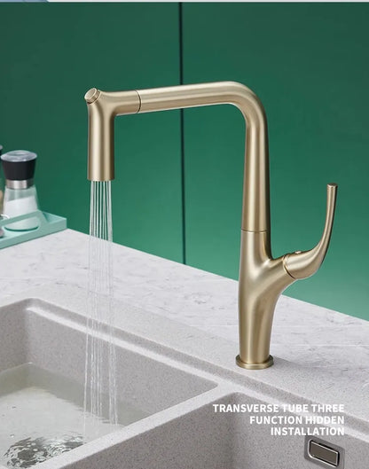 DecorBites™ Black 3 Way Kitchen Faucet with Water Filter, Deck Mounted Brass Sink Mixer